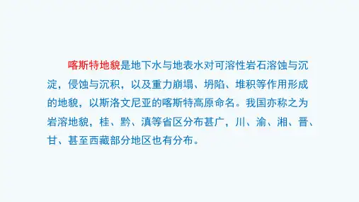 高考复习《地理》喀斯特地貌