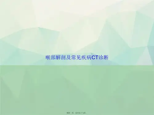 喉部解剖及常见疾病CT诊断讲课文档