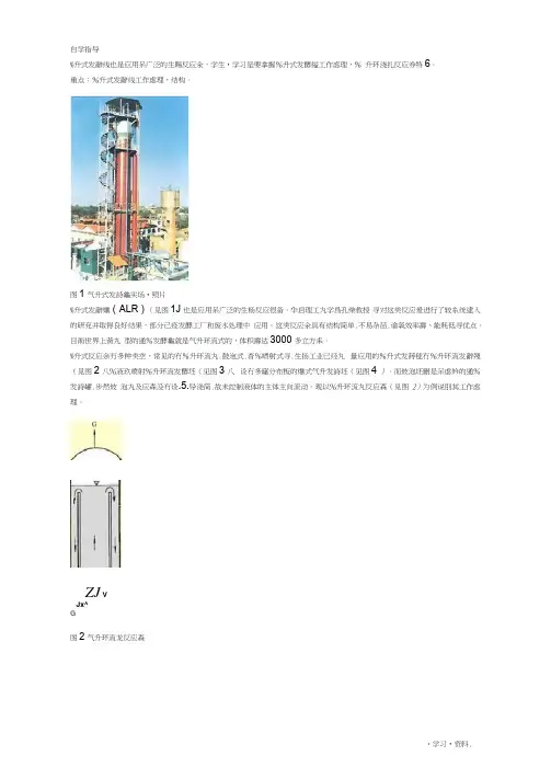 气升环流式反应器