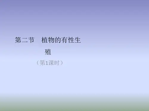 苏教版生物八年级下册21.2《植物的有性生殖》(第1课时)课件 (共28张PPT)
