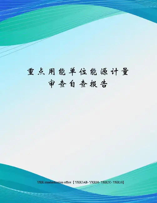 重点用能单位能源计量审查自查报告审批稿