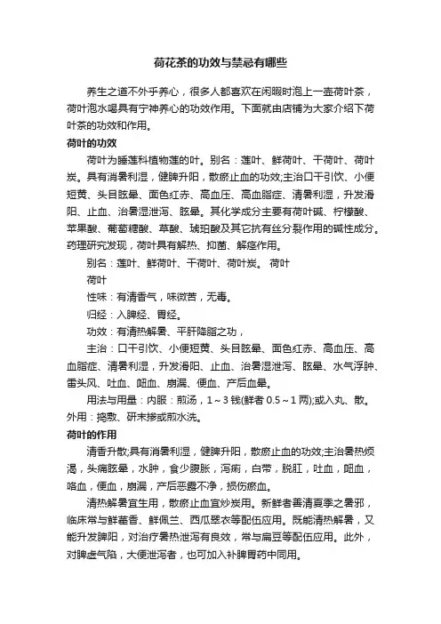 荷花茶的功效与禁忌有哪些