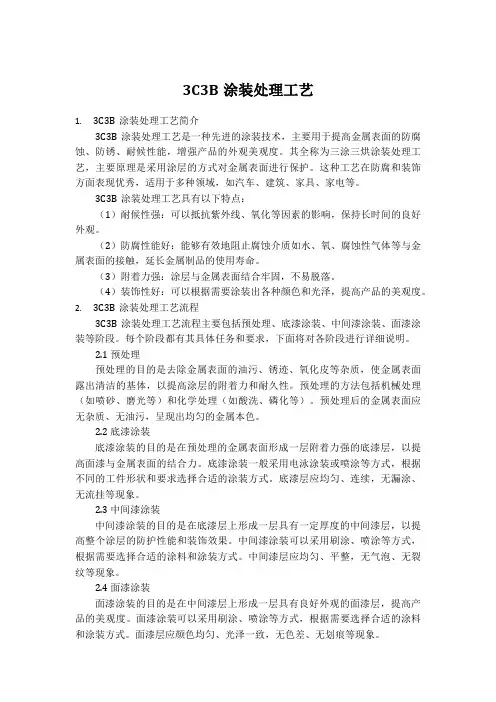 3c3b涂装处理工艺