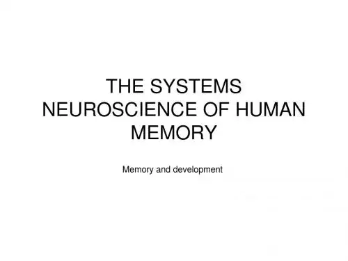 Memory development
