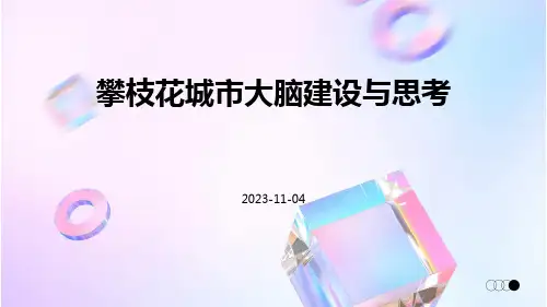 攀枝花城市大脑建设与思考