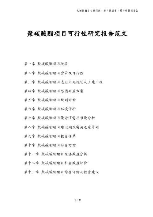 聚碳酸酯项目可行性研究报告范文