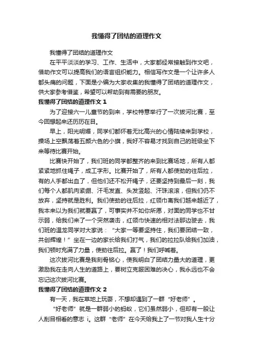 我懂得了团结的道理作文