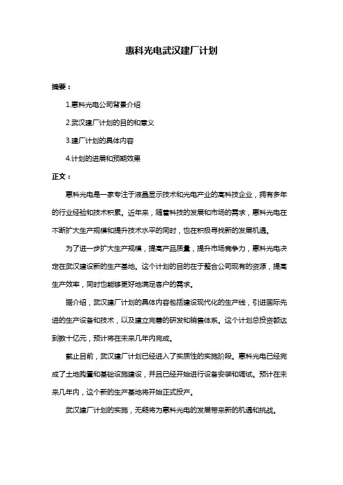 惠科光电武汉建厂计划
