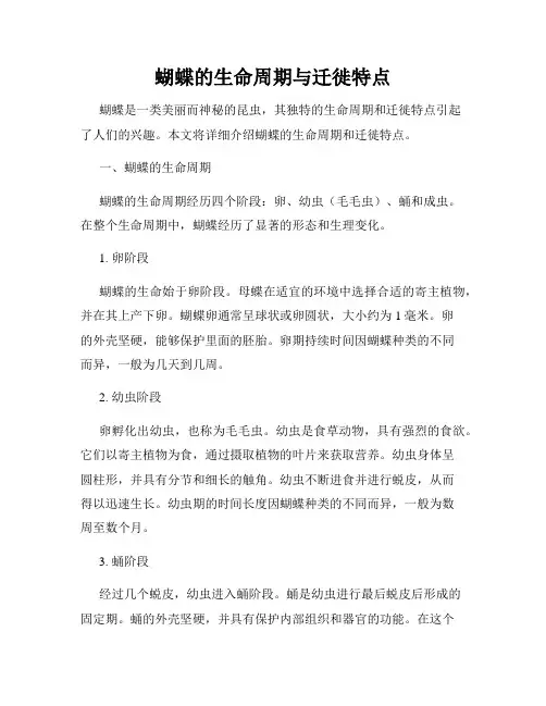 蝴蝶的生命周期与迁徙特点