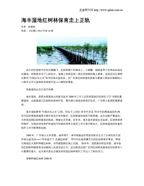 海丰湿地红树林保育走上正轨