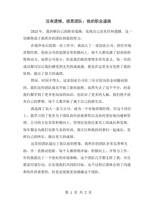 没有遗憾,感恩团队：我的职业道路