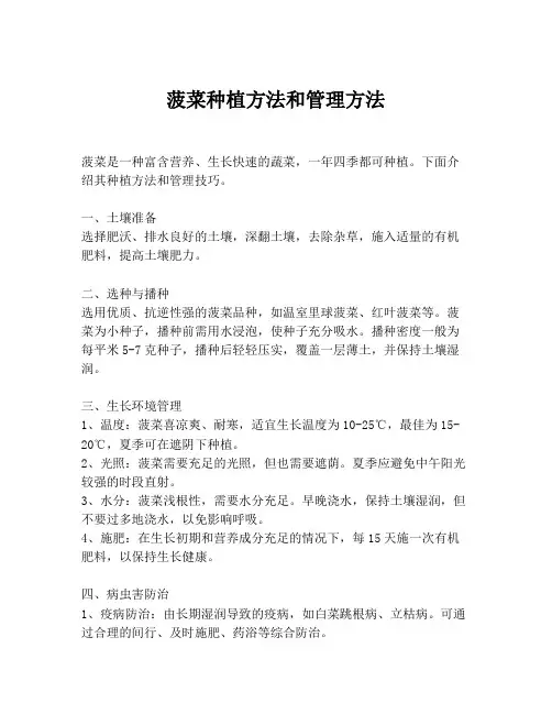 菠菜种植方法和管理方法