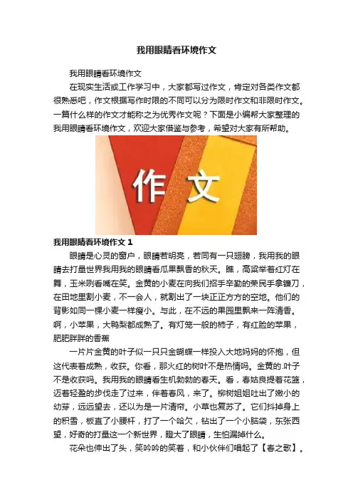 我用眼睛看环境作文