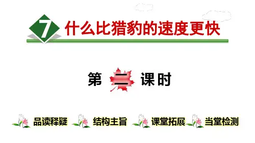 2021最新人教部编版五年级语文上册7.什么比猎豹的速度更快【第2课时】 (共34张PPT)