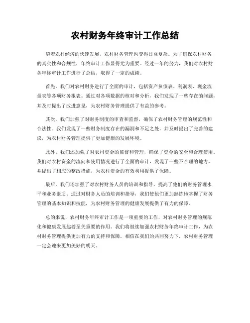 农村财务年终审计工作总结