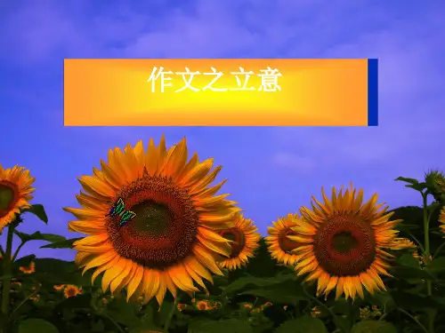 初中作文之立意优秀课件