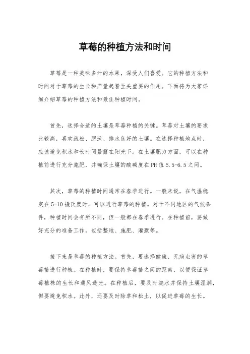 草莓的种植方法和时间