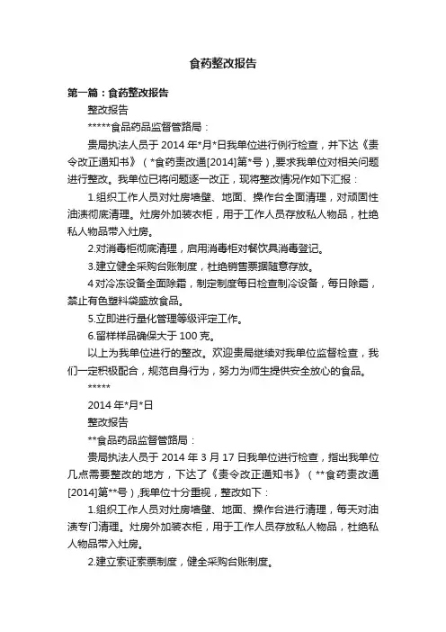食药整改报告