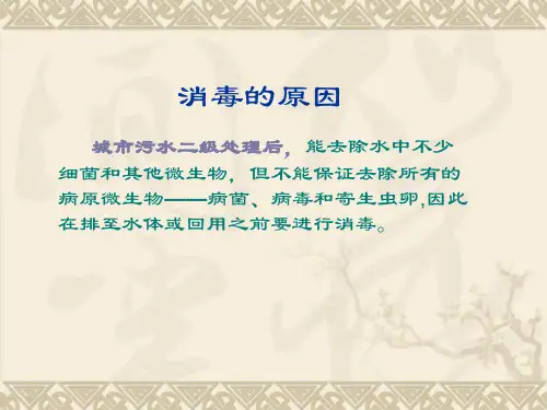 污水处理消毒PPT课件