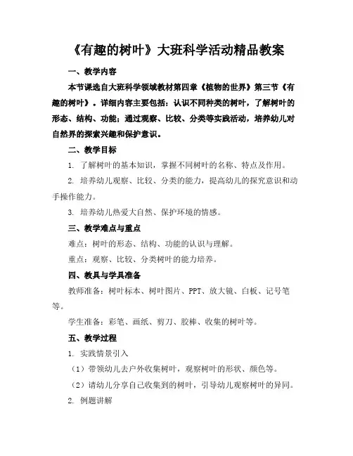 《有趣的树叶》大班科学活动精品教案