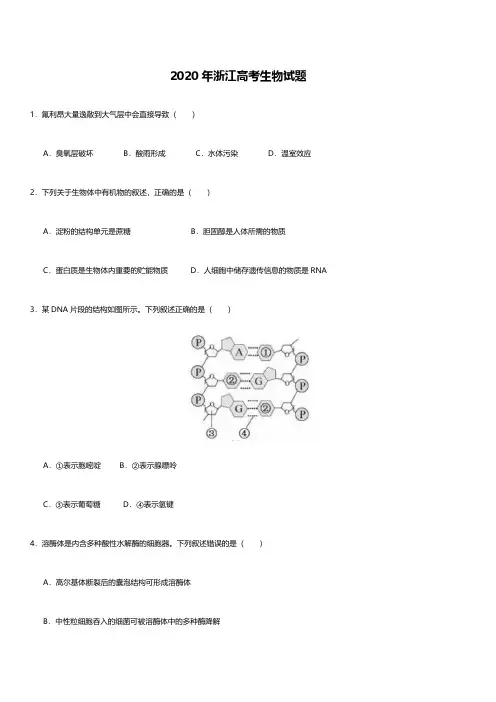 2020浙江高考生物试题后附答案