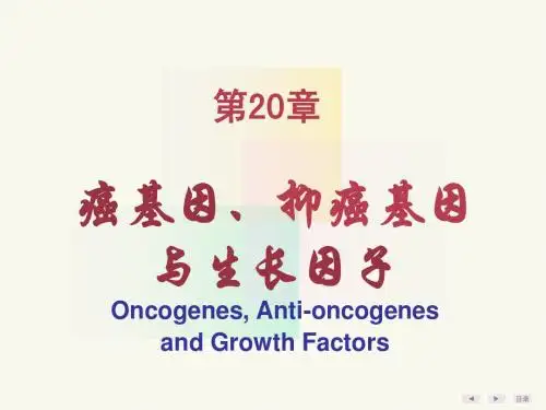 第20章癌基因、抑癌基因与生长因子