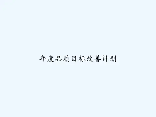 年度品质目标改善计划
