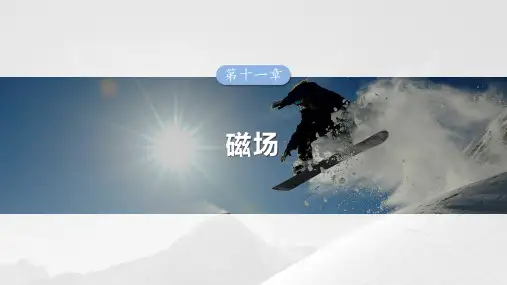 2025高考物理总复习洛伦兹力与现代科技