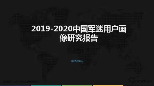 2019-2020中国军迷用户画像研究报告