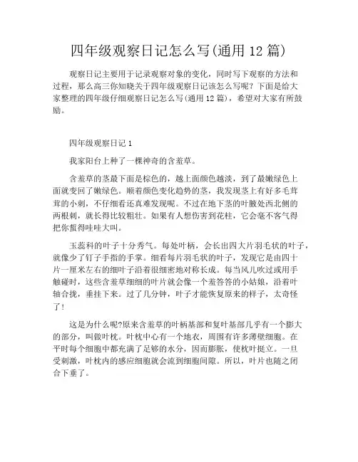 四年级观察日记怎么写(通用12篇)