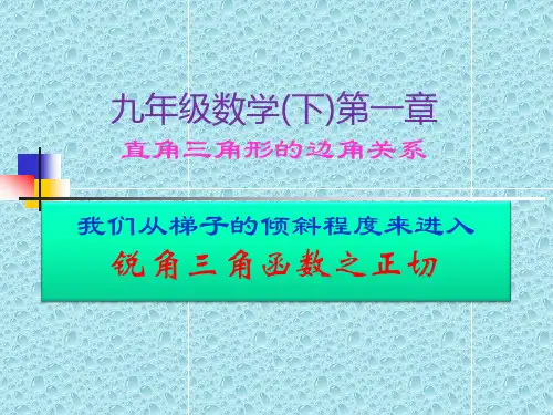 九年级数学下册课件-28.1 锐角三角函数10-人教版