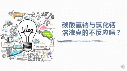 全国高中化学优质课一等奖碳酸氢钠和氯化钙溶液真的不反应吗？课件
