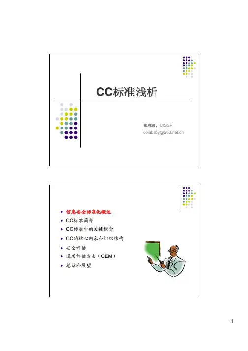 CC标准浅析