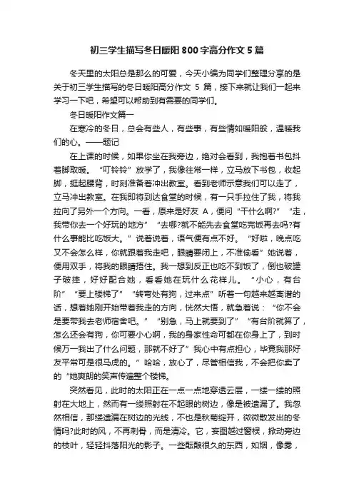 初三学生描写冬日暖阳800字高分作文5篇