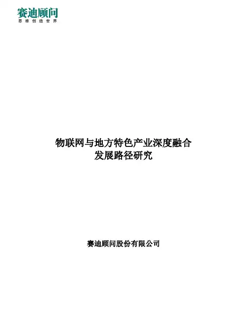 赛迪顾问-电子信息产业研究-物联网与地方特色产业深度融合发展路径研究