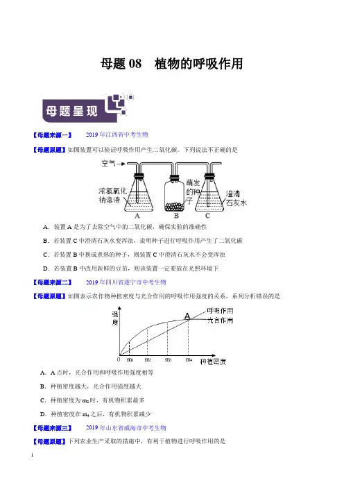 《中考真题》专题08 植物的呼吸作用-2019年中考生物母题题源系列(原卷版)