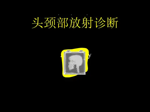 医学影像-头颈部放射诊断