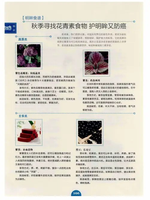 秋季寻找花青素食物护明眸又防癌