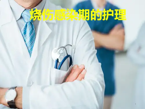 大面积烧伤感染期护理PPT课件