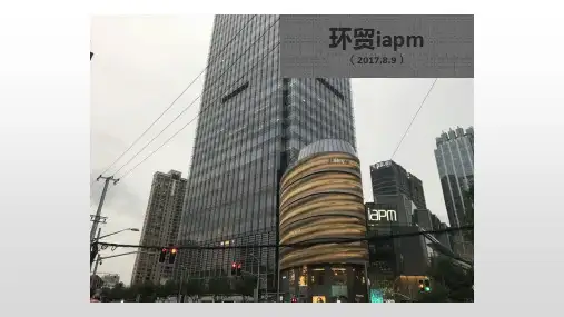 2017年上海环贸iapm商场市场调研报告