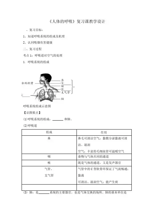 人教版七年级生物下册《人体的呼吸》复习课教学设计