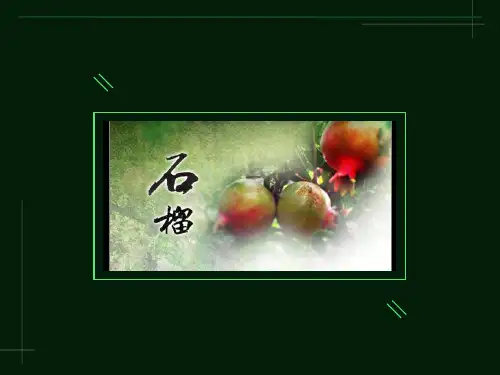 苏教版三年级上册微型课《石榴》PPT课件