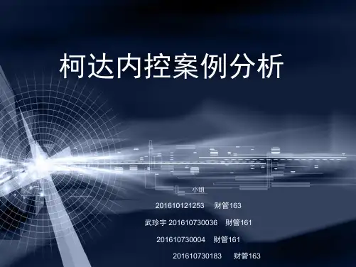 柯达公司案例_内部控制(PPT45页)