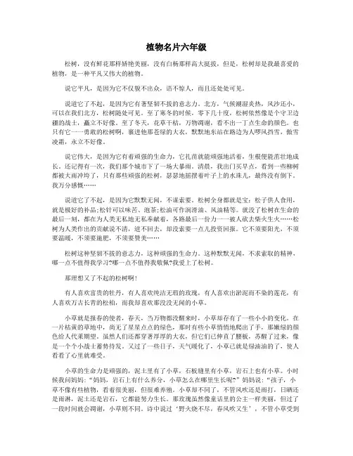 植物名片六年级