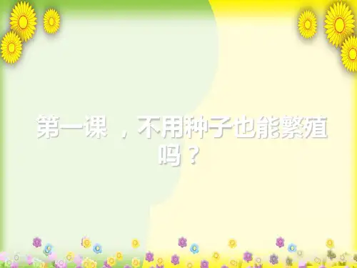 小学科学五下《不用种子也能繁殖吗》PPT 公开课一等奖课件(1)