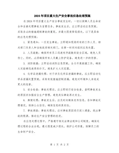 2024年项目重大生产安全事故应急处理预案