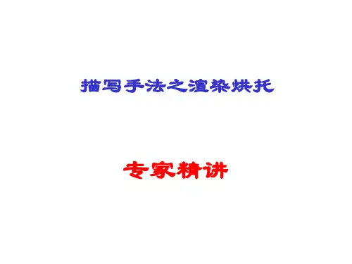 专家解析渲染,烘托等的区别 ppt课件