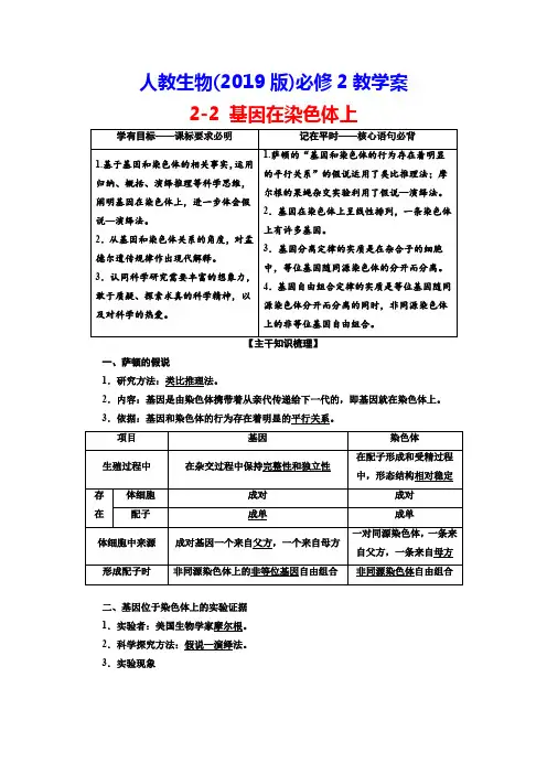 人教生物(2019版)必修2教学案：2-2 基因在染色体上