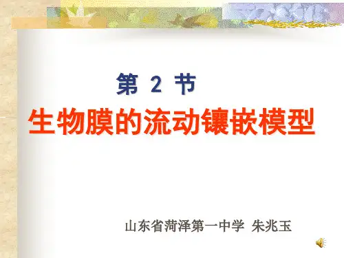 4[1].2生物膜的流动镶嵌模型3