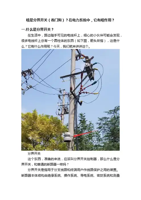 啥是分界开关（看门狗）？在电力系统中，它有啥作用？